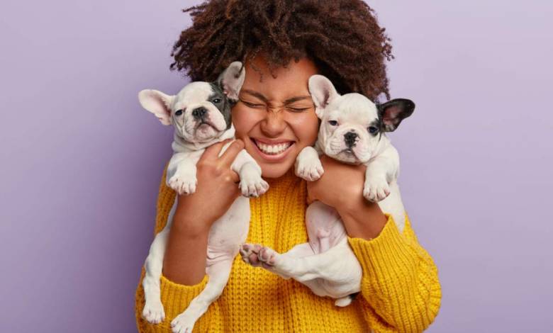 Une étude scientifique suédoise affirme qu'adopter un chien serait excellent pour la santé !