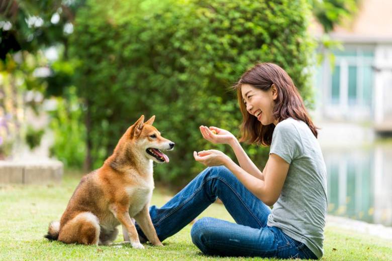 Une étude scientifique suédoise affirme qu'adopter un chien serait excellent pour la santé !