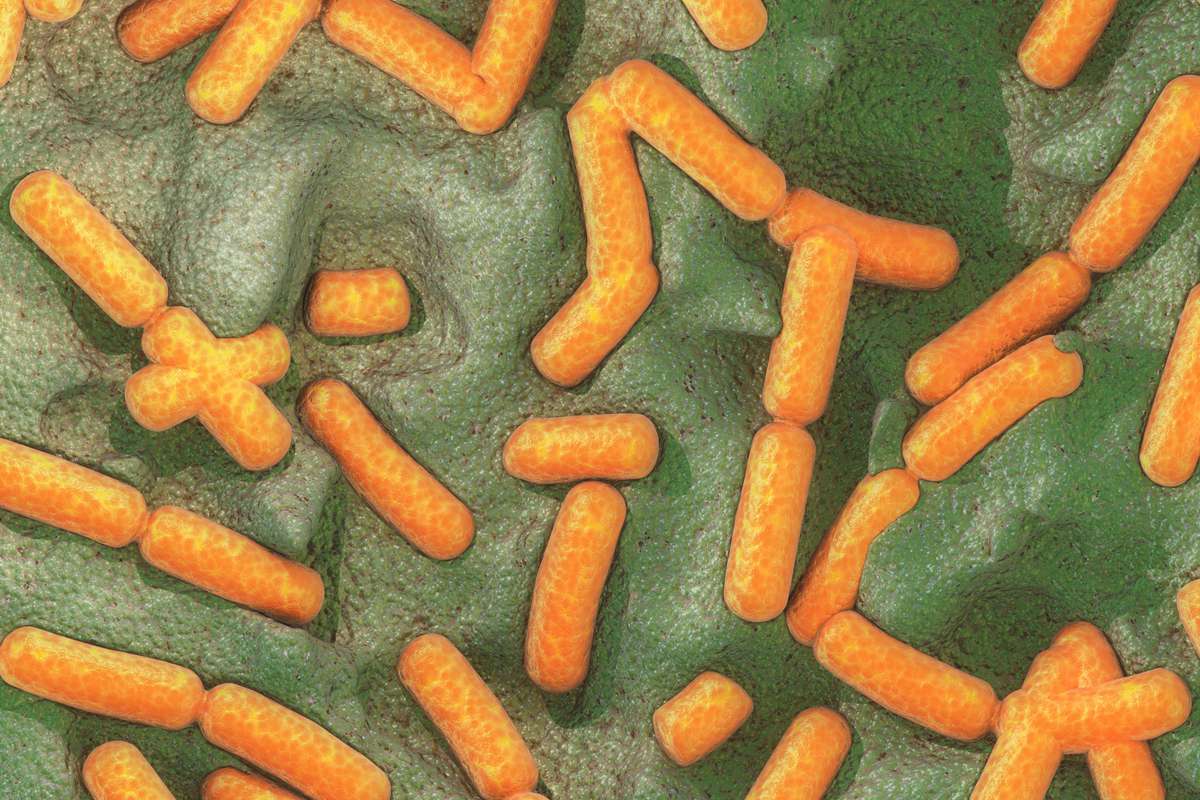 Selon cette étude, certaines bactéries utilisent des effets quantiques pour survivre