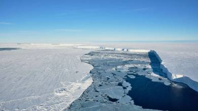 En se détachant de la banquise, un iceberg géant révèle une biodiversité insoupçonnée !