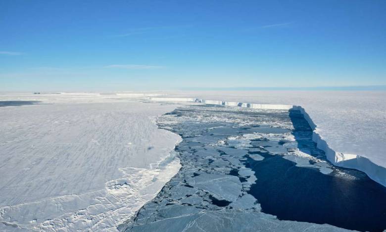 En se détachant de la banquise, un iceberg géant révèle une biodiversité insoupçonnée !
