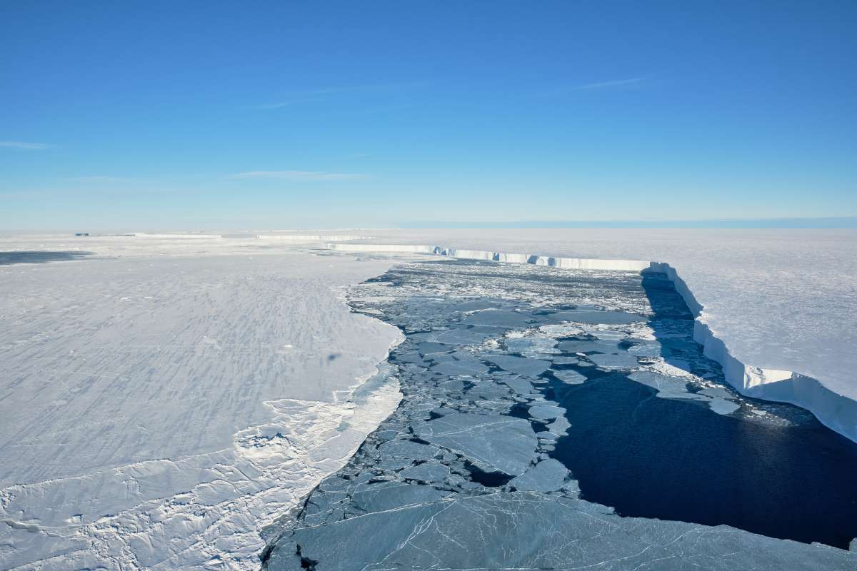 En se détachant de la banquise, un iceberg géant révèle une biodiversité insoupçonnée !