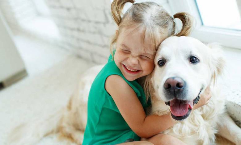 Les Pays-Bas deviennent le premier pays sans chien abandonné ! Un exemple pour tous !