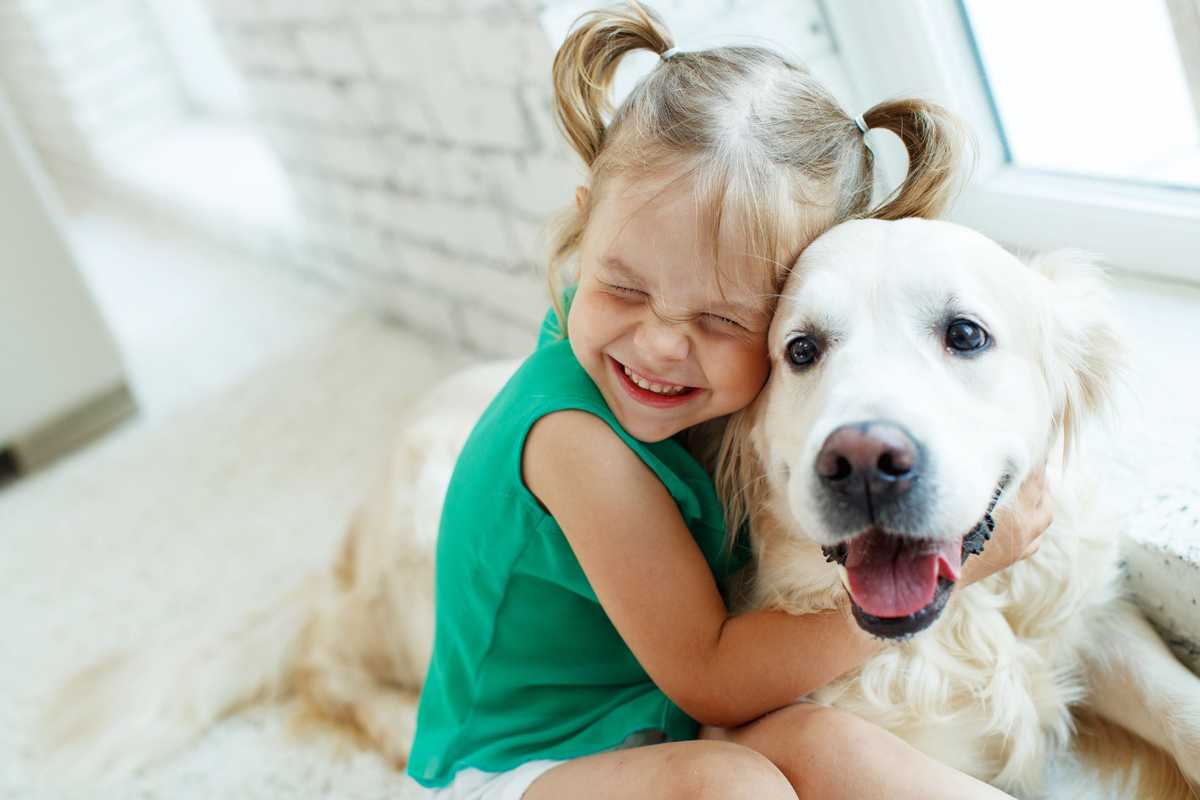 Les Pays-Bas deviennent le premier pays sans chien abandonné ! Un exemple pour tous !