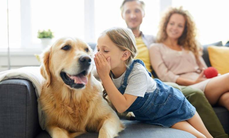 Votre chien vous comprend bien plus que vous ne l'imaginez