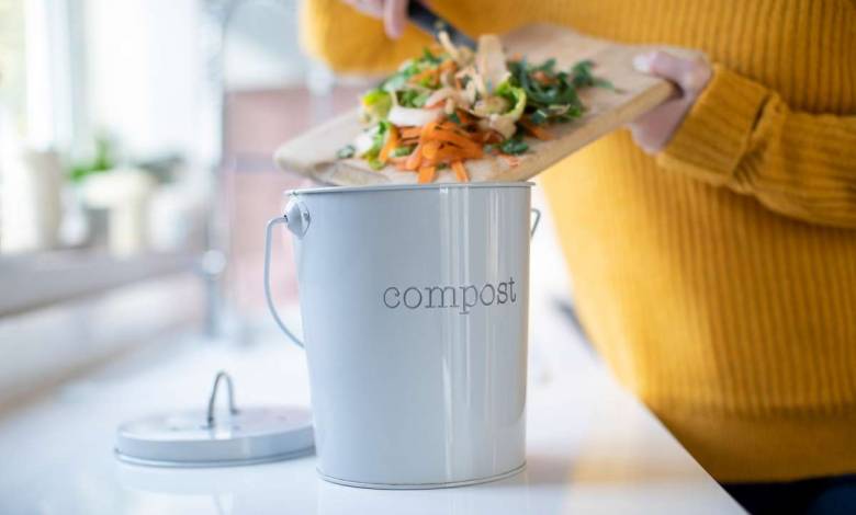 TOP 3 DES MEILLEURS COMPOSTEUR DE CUISINE ELECTRIQUE 2023 (Comparatif &  Test) 