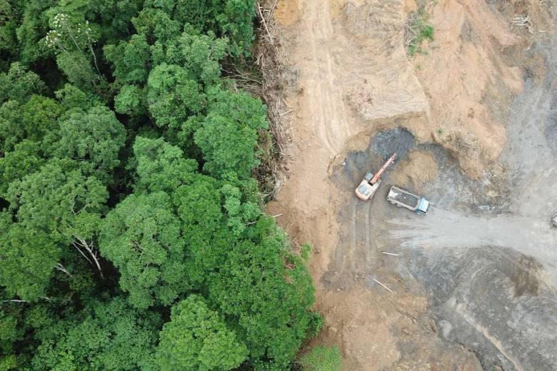 A cause de la déforestation, la forêt amazonienne réchaufferait l'atmosphère au lieu de la refroidir selon cette étude