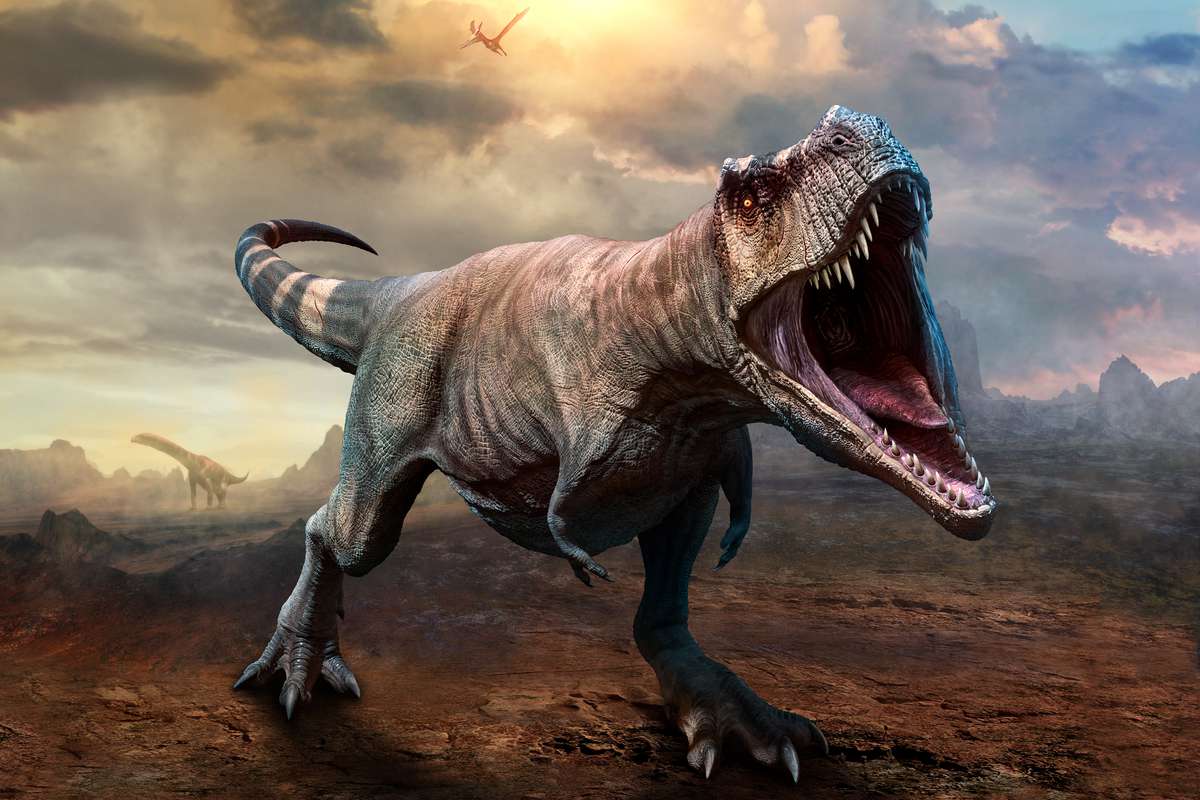 On sait enfin pourquoi il n’y avait que très peu de dinosaures de taille moyenne