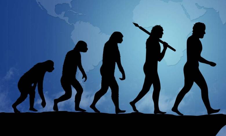 Découverte scientifique : l'homme aurait acquis une caractéristique surprenante au cours de son évolution