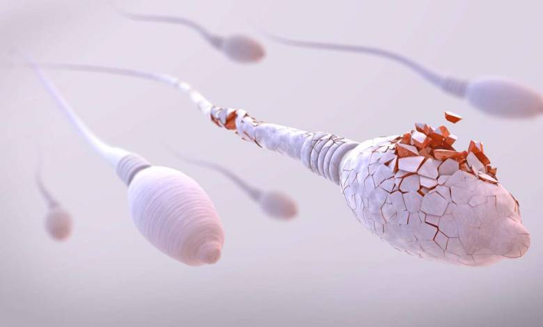 Si nous n'arrêtons pas de consommer phtalates, BPA ou Teflon, l'humanité pourrait ne plus assurer sa survie d'ici 25 ans alerte une scientifique !