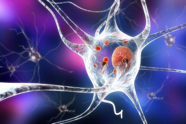 Une nouvelle étude pourrait déboucher sur un traitement de la maladie de Parkinson