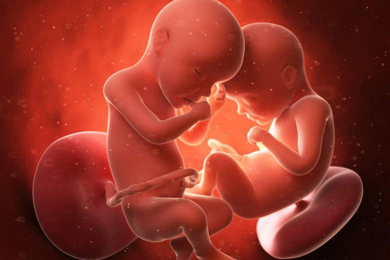 Pourquoi les naissances de jumeaux explosent à travers le monde ?