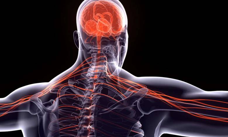 La thérapie par cellules souches a permis de réparer la moelle épinière endommagée d’une dizaine de patients