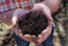 Comment accélérer son compost naturellement ?
