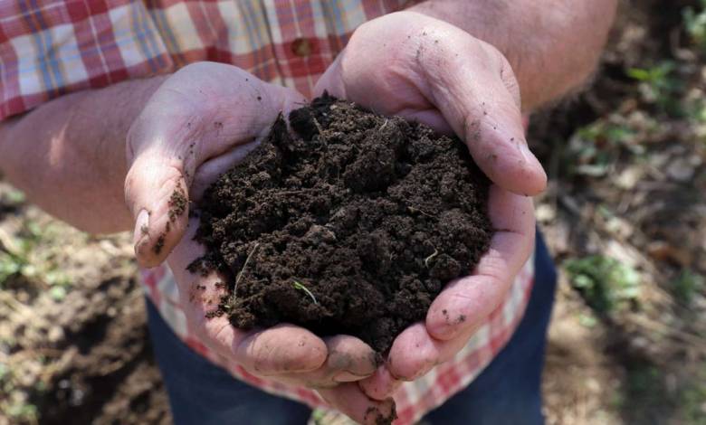 Comment accélérer son compost naturellement ?