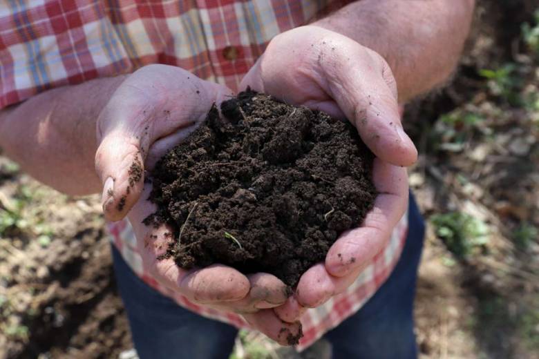 Comment accélérer son compost naturellement ?