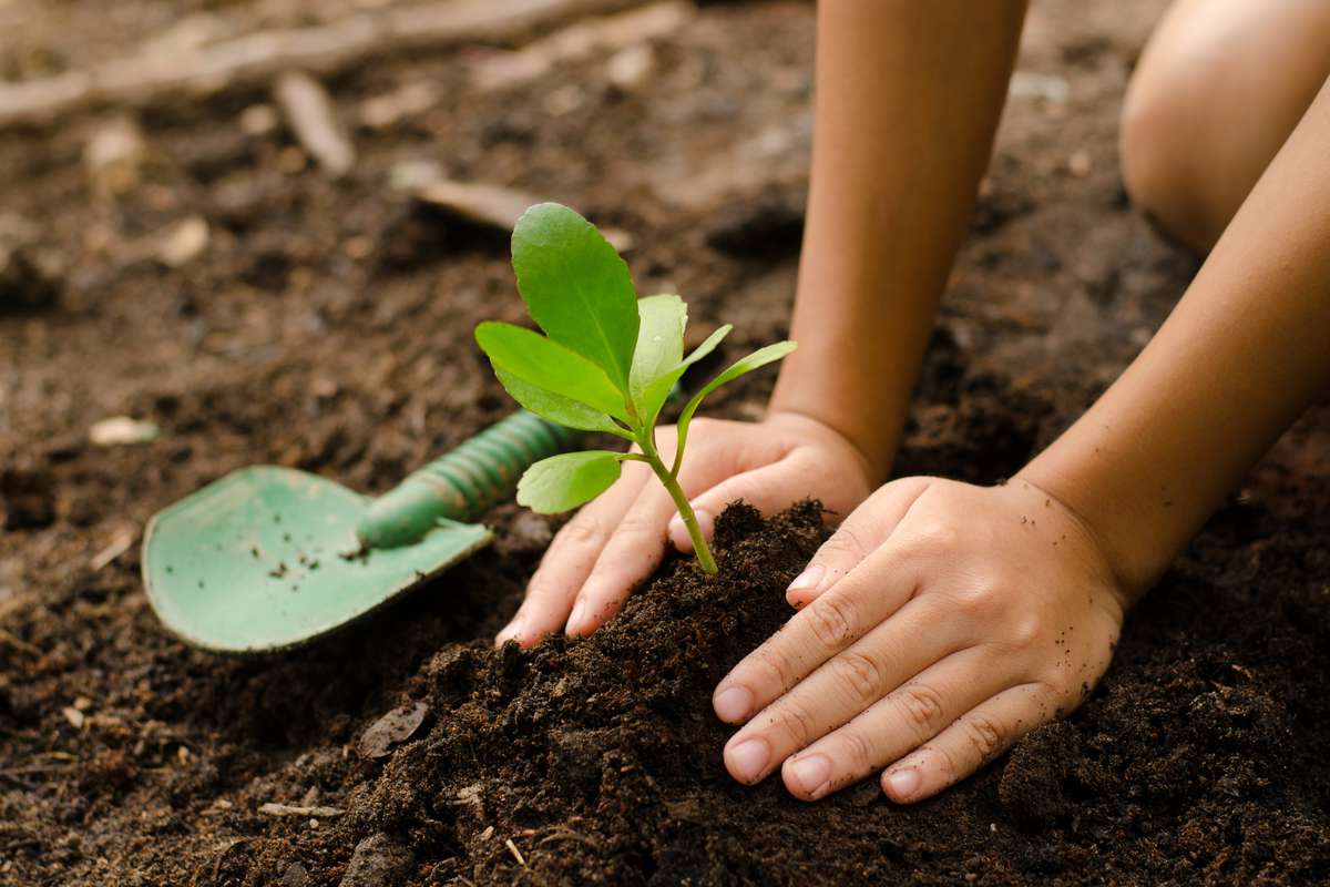 Comment accélérer son compost naturellement ? - NeozOne