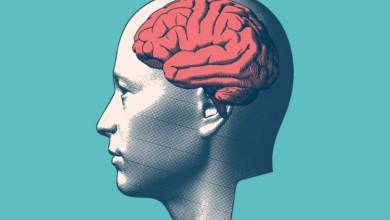Une étude met en lumière le lien génétique entre notre visage et la forme de notre cerveau