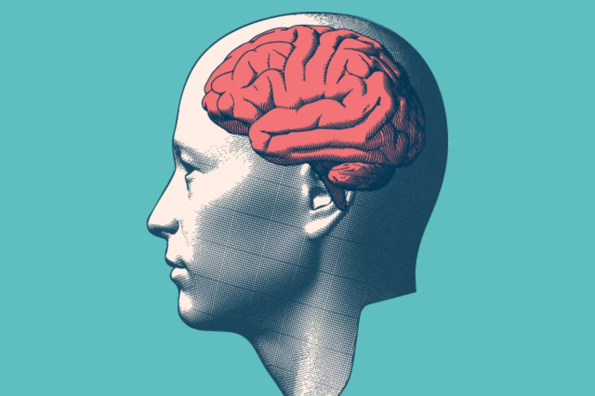 Une étude met en lumière le lien génétique entre notre visage et la forme de notre cerveau