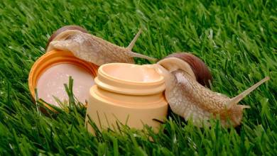 Connaissez-vous les bienfaits de la bave d'escargots ?