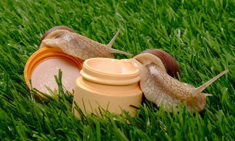 Connaissez-vous les bienfaits de la bave d'escargots ?