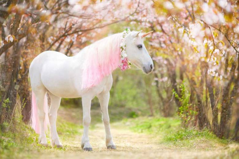 Mais au fait, d'où vient le mythe de la licorne ?