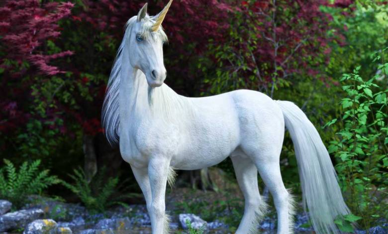 Mais au fait, d'où vient le mythe de la licorne ?