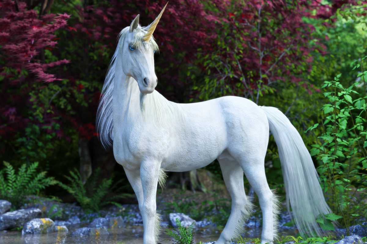 Mais au fait, d'où vient le mythe de la licorne ?