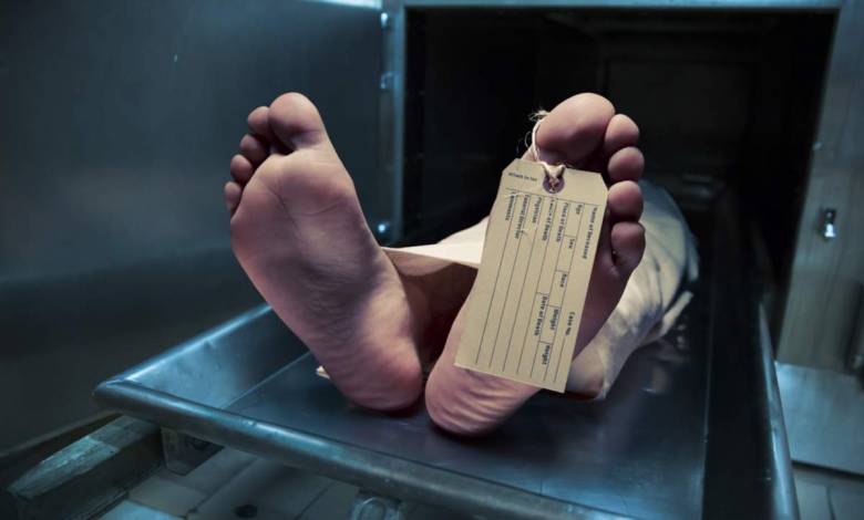 Cerveau : des « gènes zombies » neuronaux s'activent après la mort