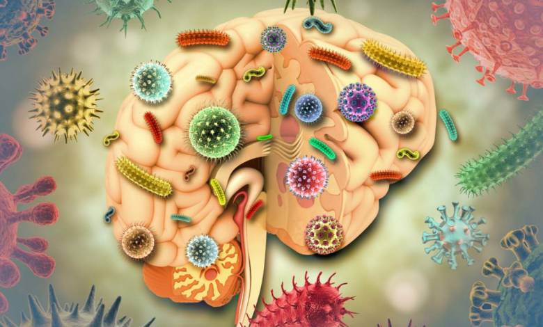 Faites-vous partie des deux milliards de personnes vivant avec un parasite dans le cerveau, sans le savoir ?