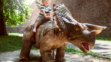 Elon Musk : bientôt un centre d'attraction avec de vrais dinosaures à la "Jurassic Park" ?