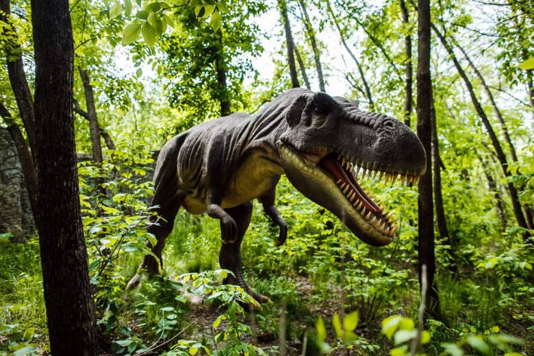 Elon Musk : bientôt un centre d'attraction avec de vrais dinosaures à la "Jurassic Park" ?