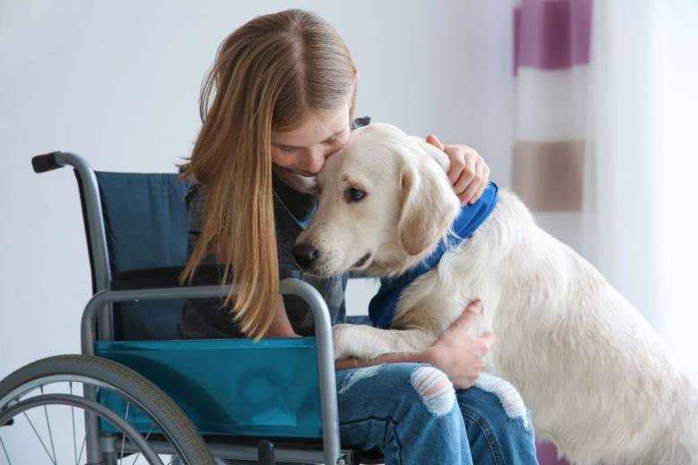 Selon cette étude, les pattes des chiens seraient plus propres que les semelles des chaussures !