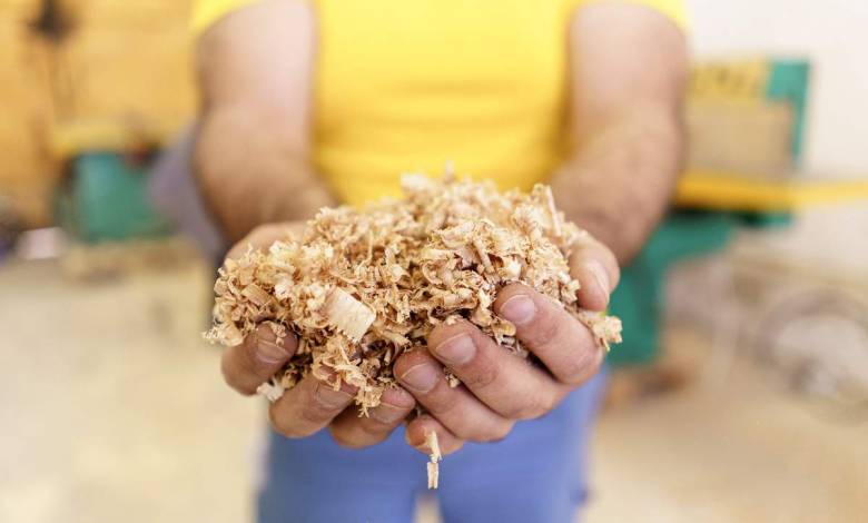 Des chercheurs de Yale ont inventé un bioplastique à base de sciure bois qui se décompose intégralement en 90 jours !