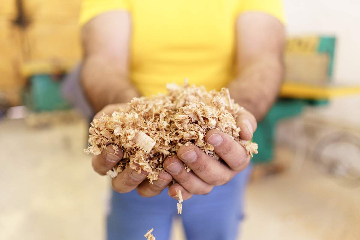 Des chercheurs de Yale ont inventé un bioplastique à base de sciure bois qui se décompose intégralement en 90 jours !