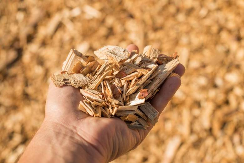 Des chercheurs de Yale ont inventé un bioplastique à base de sciure bois qui se décompose intégralement en 90 jours !