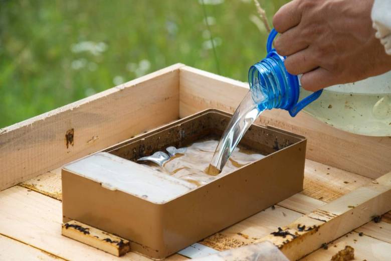 Mais au fait, comment peut-on protéger les abeilles naturellement ?