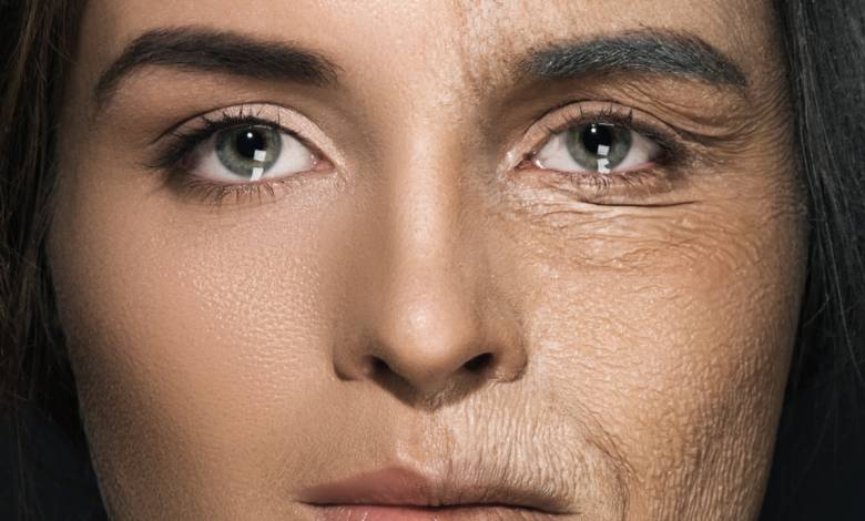 Immortalité : pouvons nous retarder le processus de vieillissement indéfiniment ?
