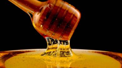 Connaissez-vous vraiment les différents types de miel et leurs bienfaits sur la santé ?