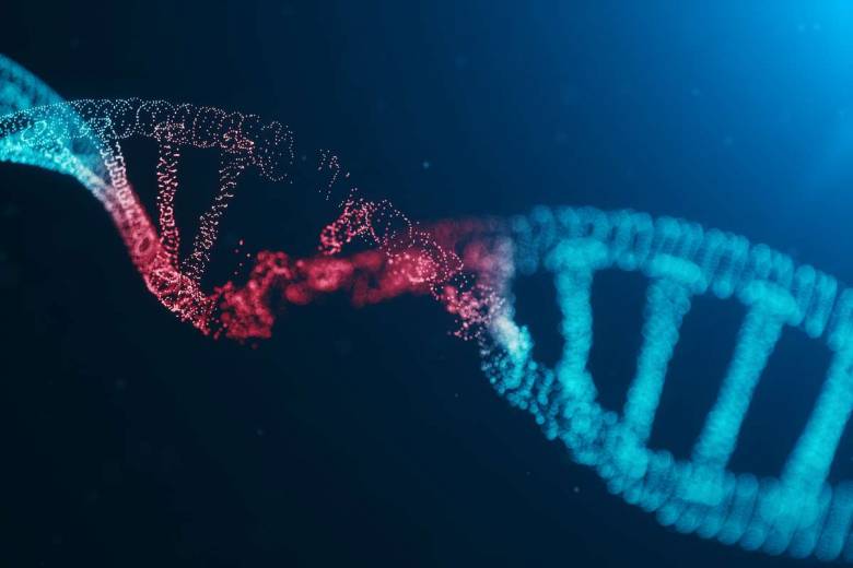 ADN : La police scientifique pourra bientôt "renifler" le matériel génétique présent sur la scène d'un crime