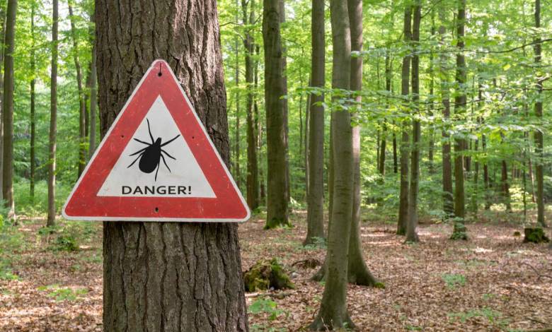 Vigilance : les tiques reviennent en force dans les jardins ! Comment éviter les piqûres ?