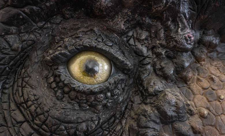 Selon cette étude, des milliards de tyrannosaures ont parcouru la Terre au cours de la période du Crétacé
