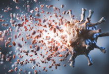 Un adénovirus comme "cheval de Troie" pour pousser les tumeurs à s'autodétruire de l'intérieur