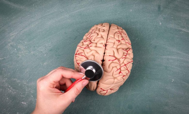 Notre cerveau ne possèderait pas une, mais cinq mémoires différentes !