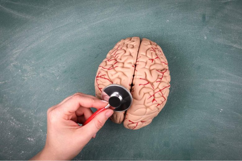 Notre cerveau ne possèderait pas une, mais cinq mémoires différentes !