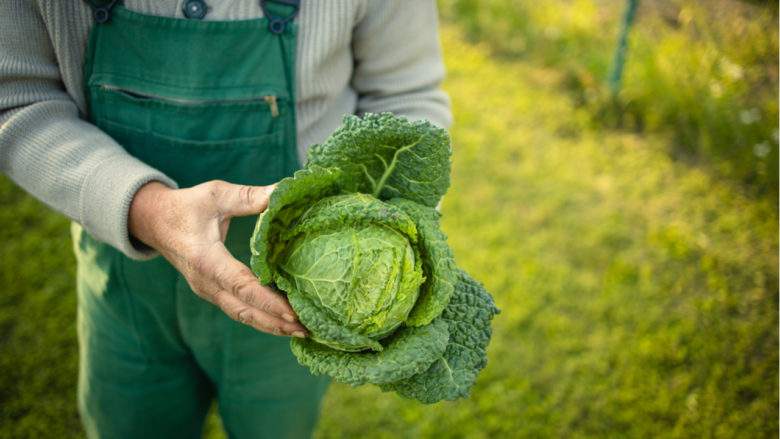 Mais au fait, quels aliments mieux vaut-il éviter pour faciliter la digestion ?