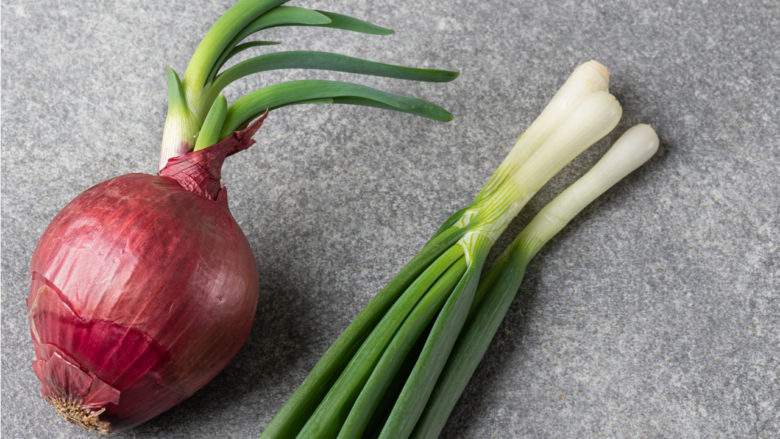 Mais au fait, quels aliments mieux vaut-il éviter pour faciliter la digestion ?