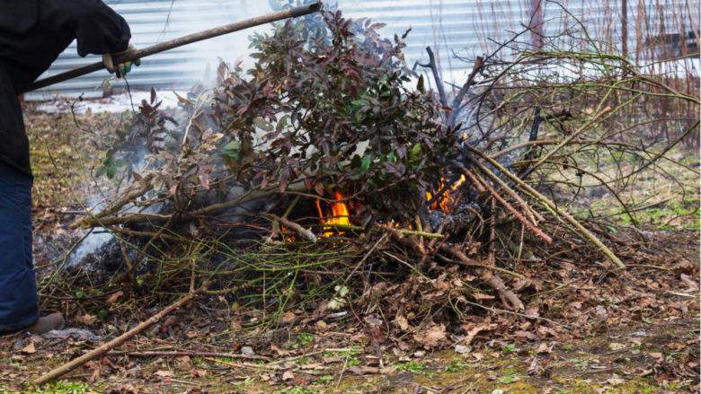 Comment réduire et réutiliser les déchets verts si nombreux au printemps ?