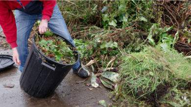 Comment réduire et réutiliser les déchets verts si nombreux au printemps ?