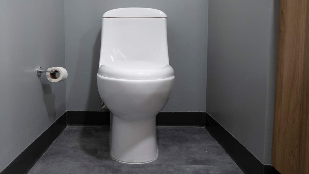 Ces toilettes permettent d'analyser directement vos selles 